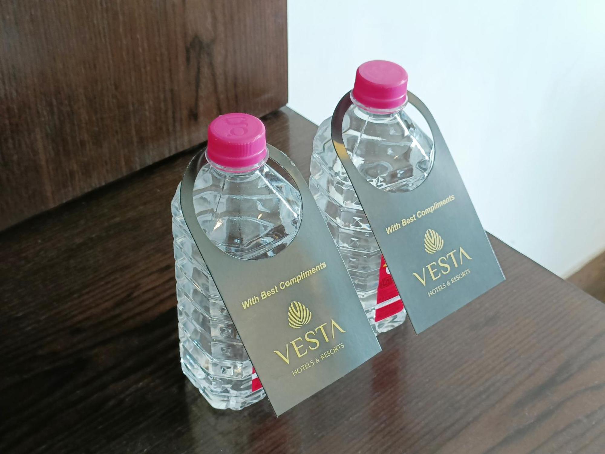 Vesta Grand Central Udajpur Zewnętrze zdjęcie